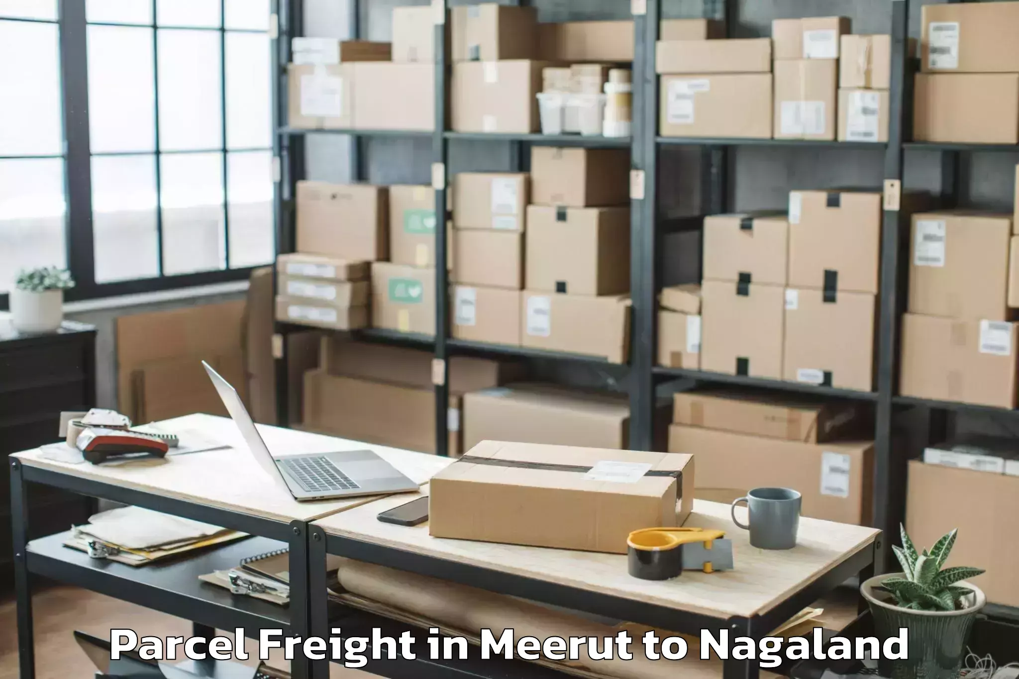 Professional Meerut to Zuketsa Parcel Freight